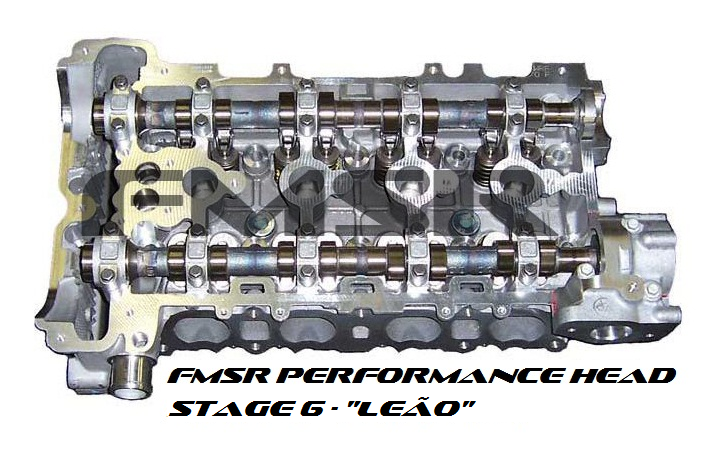 FMSRP Head Stage 6 - Leão